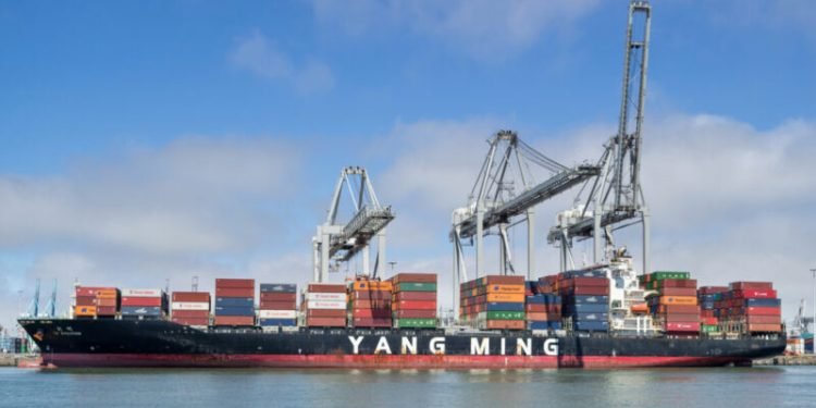 Yang Ming Marine Transport Corp. Hits Historic $7 Billion Revenue in 2024
