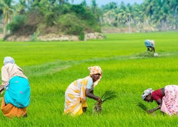Emerging Logistics Hub: Top Companies Driving Kerala’s Supply Chain Growth