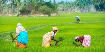 Emerging Logistics Hub: Top Companies Driving Kerala’s Supply Chain Growth