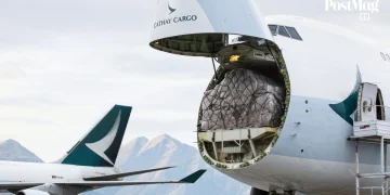 Inside the Airlift: How Cathay Cargo Pulled Off the Largest Equine Transport in Hong Kong’s History
