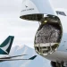 Inside the Airlift: How Cathay Cargo Pulled Off the Largest Equine Transport in Hong Kong’s History