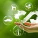 What If Packaging Never Died? Inside the Logistics Shift to Reuse and Repair
