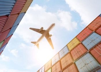 Holex Air Logistics Takes Flight: A Strategic Leap in Global Floral Supply Chain Optimization