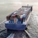 IMO Endorses Global Carbon Pricing Scheme, Paving the Way for Greener Ocean Shipping by 2040