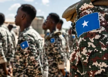 Al-Shabaab Launches Operation Ramadan in Somalia’s Shabelle Region