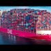 Margins Under Pressure: Freight Forwarders Rethink Growth After a Brutal Q1