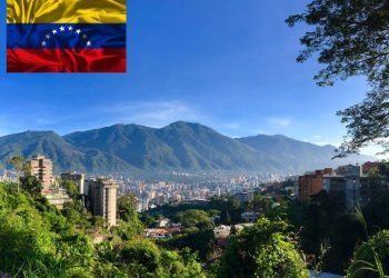 VILCA, the Company That Delivers While Others Just Promise