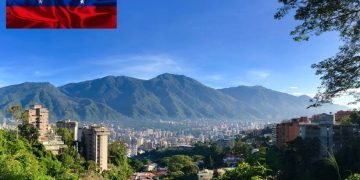 VILCA, the Company That Delivers While Others Just Promise