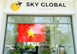 Sky Global Logistics: When Time Is the Client, Precision Becomes the Business