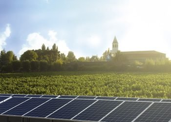 Chile’s Wineries Turn to Solar to Cool Their Supply Chains