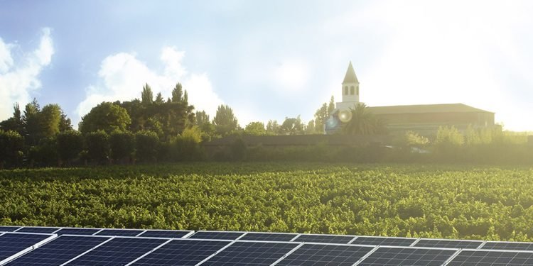 Chile’s Wineries Turn to Solar to Cool Their Supply Chains