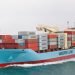 Maersk Unveils AI-Powered Port Delay Forecasting Tool for Global Clients