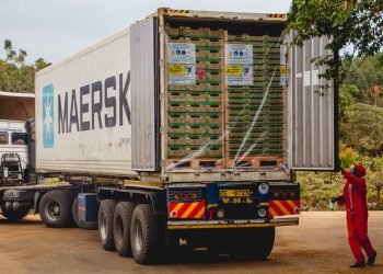 Kenya’s Fresh Produce Exports Struggle as Cold Chain Gaps Hit Cargo Reliability
