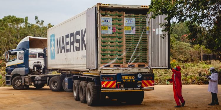 Kenya’s Fresh Produce Exports Struggle as Cold Chain Gaps Hit Cargo Reliability