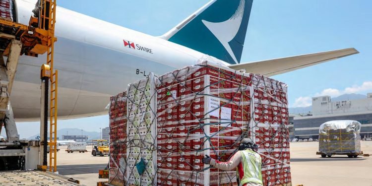 Heavy Cargo Gains Visibility as Transport Logistic Southeast Asia Unveils Dedicated Zone for Oversized Freight