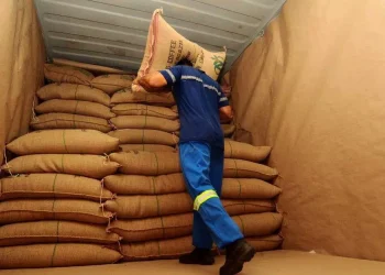 Brazil’s Coffee Exporters Hit Capacity Limits at Santos Port as Harvest Peaks