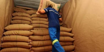Brazil’s Coffee Exporters Hit Capacity Limits at Santos Port as Harvest Peaks