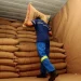 Brazil’s Coffee Exporters Hit Capacity Limits at Santos Port as Harvest Peaks