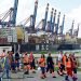 Global Shipping Lines Brace for Strike Disruptions at German Ports