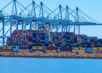 Latin American Grain Exports Strain Port Operations Amid Seasonal Rush