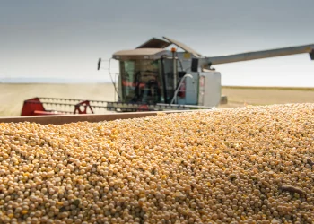 Brazil Ramps Up Soybean Exports as Asian Demand Surges