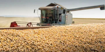 Brazil Ramps Up Soybean Exports as Asian Demand Surges
