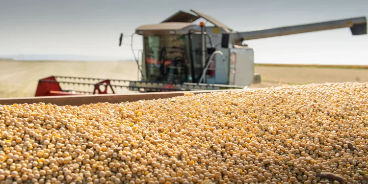 Brazil Ramps Up Soybean Exports as Asian Demand Surges