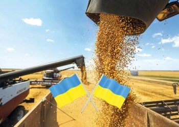 Kyiv Moves to Shield Farmers as Ukraine Imposes New Tariffs on Turkish Vegetables