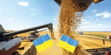 Kyiv Moves to Shield Farmers as Ukraine Imposes New Tariffs on Turkish Vegetables