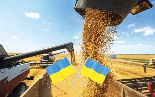 Kyiv Moves to Shield Farmers as Ukraine Imposes New Tariffs on Turkish Vegetables