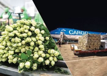 Flower Rush from Kenya to Europe Puts Nairobi Cargo Infrastructure to the Test