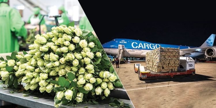 Flower Rush from Kenya to Europe Puts Nairobi Cargo Infrastructure to the Test