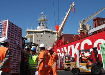 Chile Debuts Direct Maritime Route to Asia, Reducing Transit by Over a Week