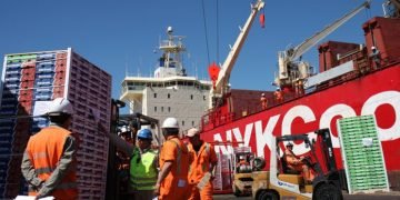 Chile Debuts Direct Maritime Route to Asia, Reducing Transit by Over a Week