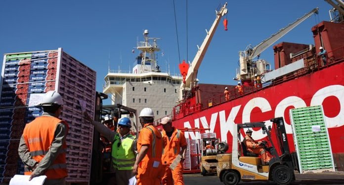 Chile Debuts Direct Maritime Route to Asia, Reducing Transit by Over a Week