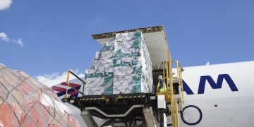 Avocado Boom Strains Latin American Air Cargo Hubs