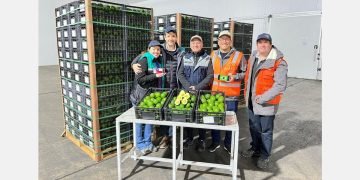 Chilean Avocado Exporters Test Hybrid Aircraft to Meet Rising Demand