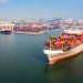 Major Congestion Hits Port of Santos as Brazilian Soy Exports Surge