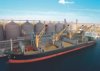 Latin American Grain Ports Backlogged as Corn and Wheat Exports Surge