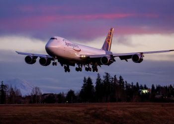 800 Breeding Pigs, One Jumbo Jet, and 14 Hours of Silence