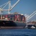 Freight Collapse on Asia–U.S. Routes Sparks Urgent Rethink in Global Shipping
