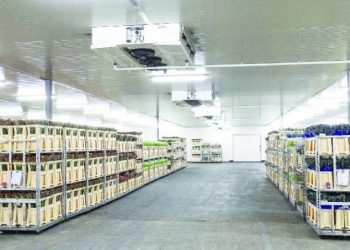 Cold Storage Boost at JKIA as Export Season Peaks