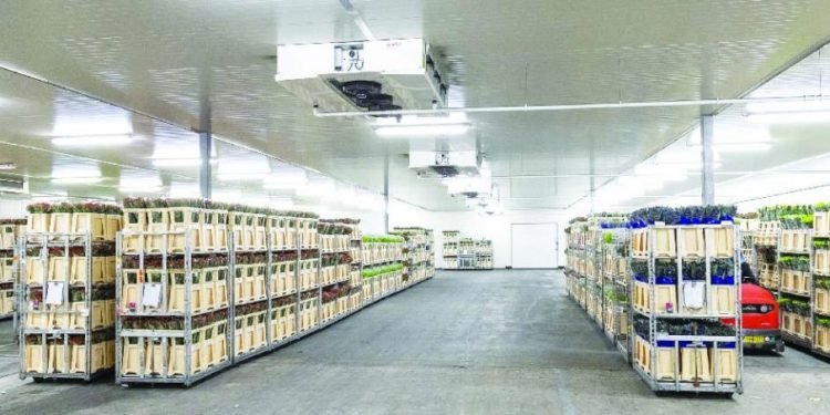 Cold Storage Boost at JKIA as Export Season Peaks