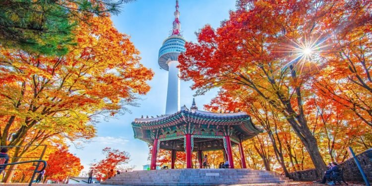 South Korea’s Couriers Hit the Brakes