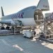 Heat, Noise, and No Empty Bays: Doha Cargo Crews in Overdrive