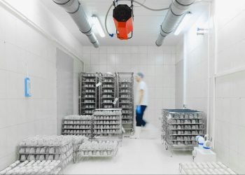 Cold Chain Management Market to Expand in 2025