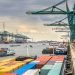 Congestion Grows at Antwerp and Rotterdam as Port Bottlenecks Resurface