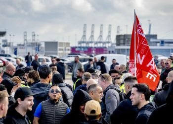 Rotterdam loosens up: lasher walkout paused, terminals race to clear the pile-up