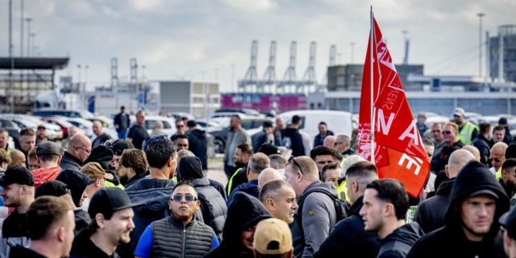 Rotterdam loosens up: lasher walkout paused, terminals race to clear the pile-up