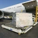 Airfreight Rates Edge Up on Asia–Europe and Transpac Routes, but Peak Season Still Lacks Punch